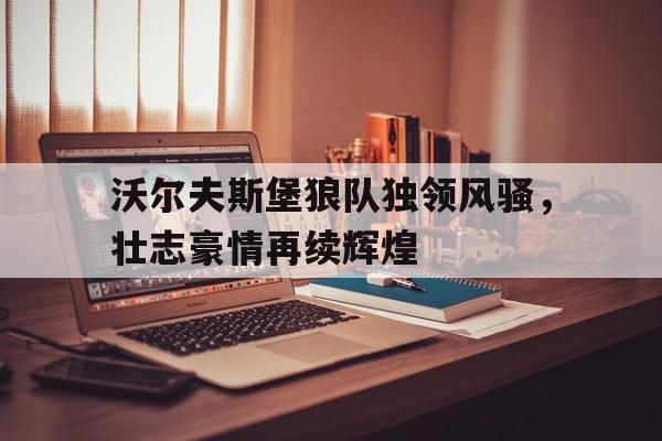 亚洲博彩公司排名-沃尔夫斯堡球迷
